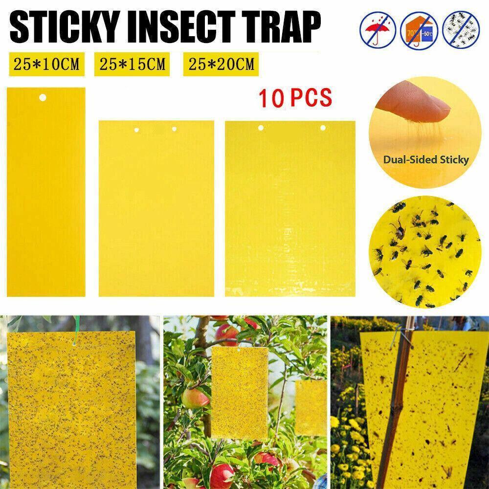 V528-ARMYWORMBOARD-25-10-10PCS-97556-202509301636-00 10PCS Yellow Sticky Paper Insect Trap Catcher Killer Fly Aphids Wasp - 25x10cm - Image 1