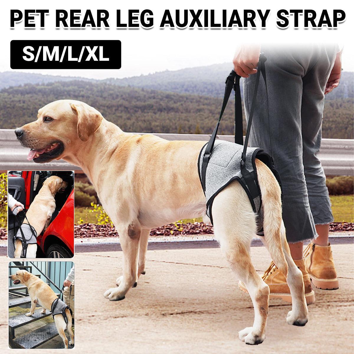 V528-AUXILIARY-HARNESS-G-XL-791638-202509301145-00 Decompression Back Leg Strap for Injured and Older Dogs Support Harness Aid - XL - Image 1