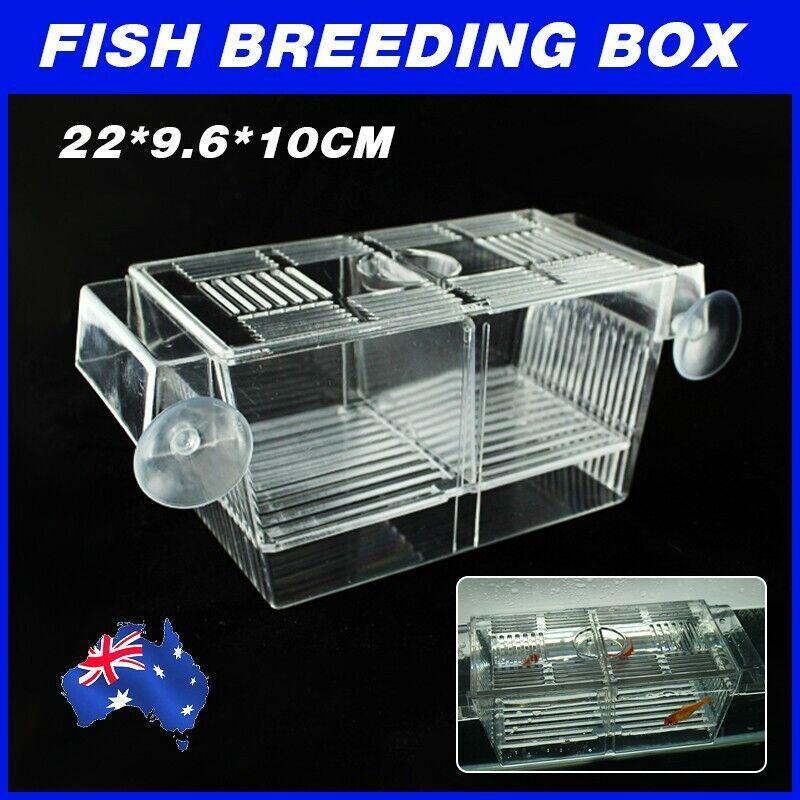 V528-BREEDINGAQUARIUM-205004-202509251331-00 Large Breeding Aquarium Fish Tank Guppy Hatchery Breeder Rearing Isolation Box - Image 1