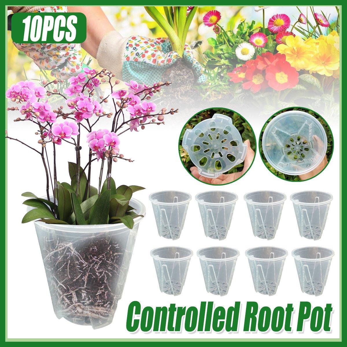 V528-CUP-TRANSPARENT-10PCS-556970-202509291909-00 10xClear Plastic Orchid Pots with Holes for Phalaenopsis Root Aeration - Image 1