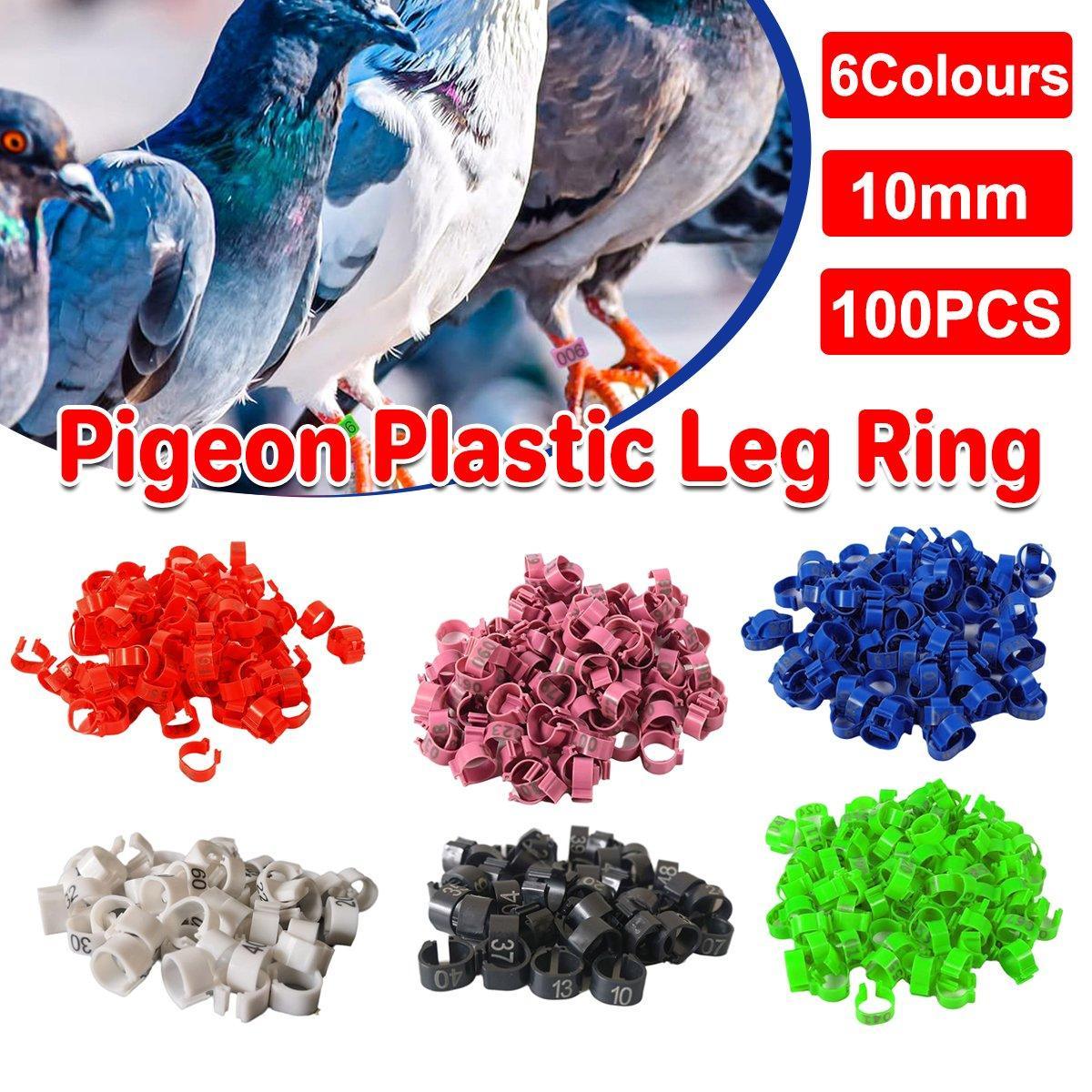 V528-DOVE-FOOT-BRACELET-BK-100PCS-423469-202509301718-00 100X 001-100 Digital Numbered Bird Leg Band Rings Clip For Pigeon Parrot Poultry - Black - Image 1