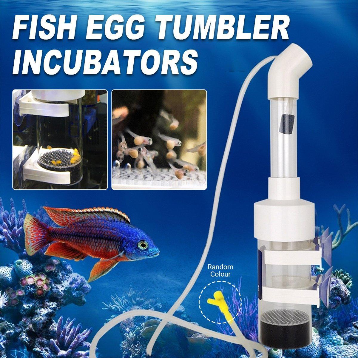 V528-FISH-INCUBATOR-414422-202509251130-00 Fish Breeding Box for Aquarium Cichlid Catfish Hatchery Tank Accessories - Image 1