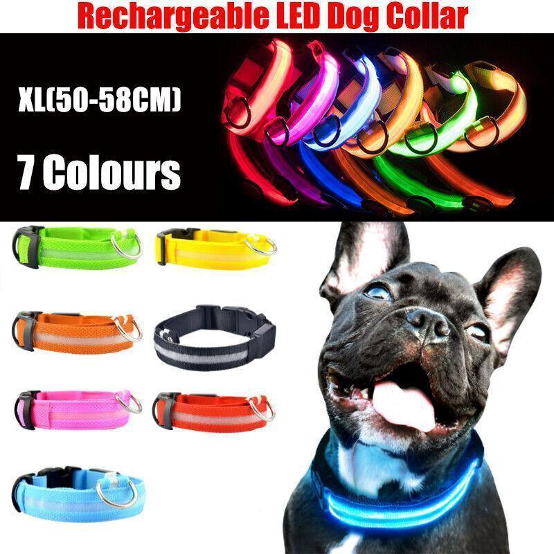 V528-FLASHINGLIGHT-RED-L-362402-202509291945-00 XL Size USB Rechargeable LED Dog Collar Nylon Glow Flashing Light Up Gear - Red - Image 1