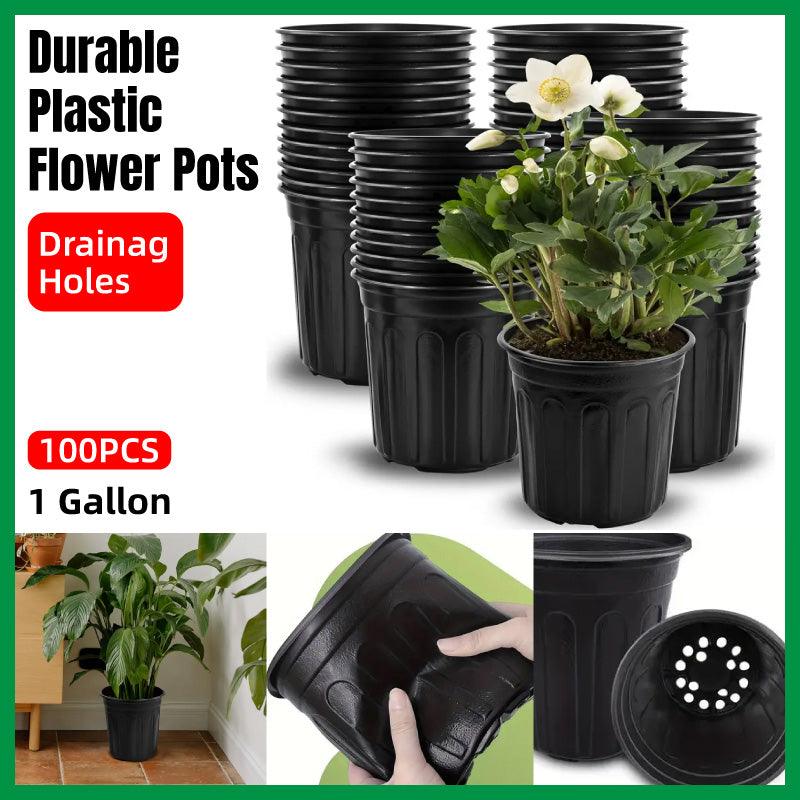 V528-FLOWERPOT-100PCS-261609-202509251030-00 100PCS Black Gallon Soft Plastic Planter Bag Garden Nursery Pot Balcony Grow Bag - Image 1