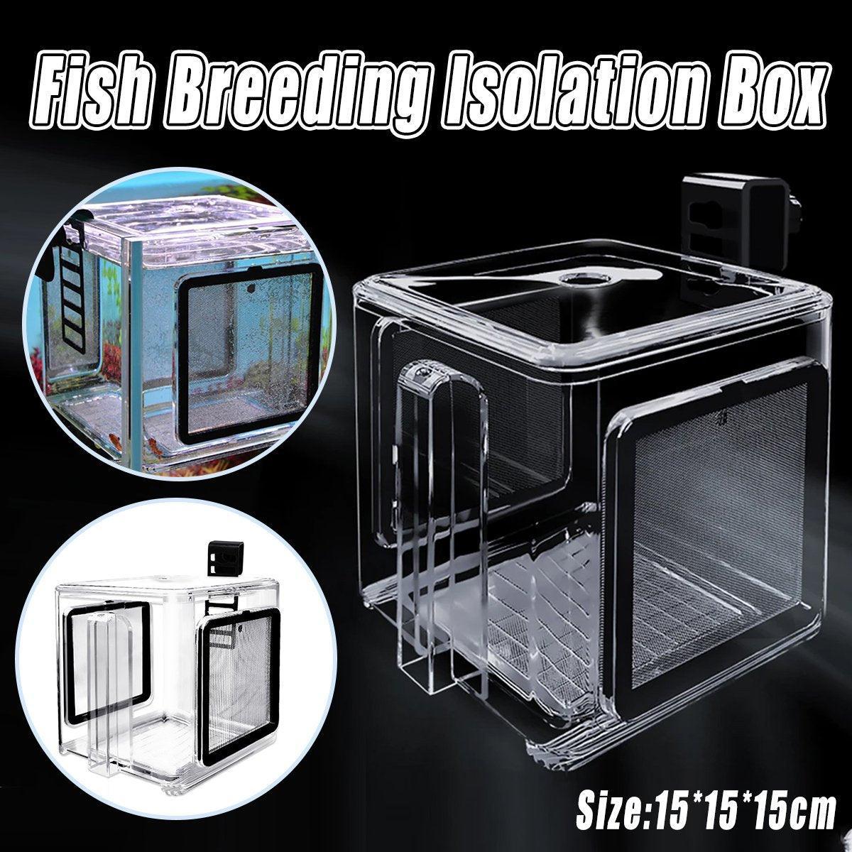 V528-LSOLATION-BOX-1PC-589264-202509251116-00 Acrylic Fish Isolation for Aquarium Guppy Fry Tropical Fish Breeding Growth Box - Image 1