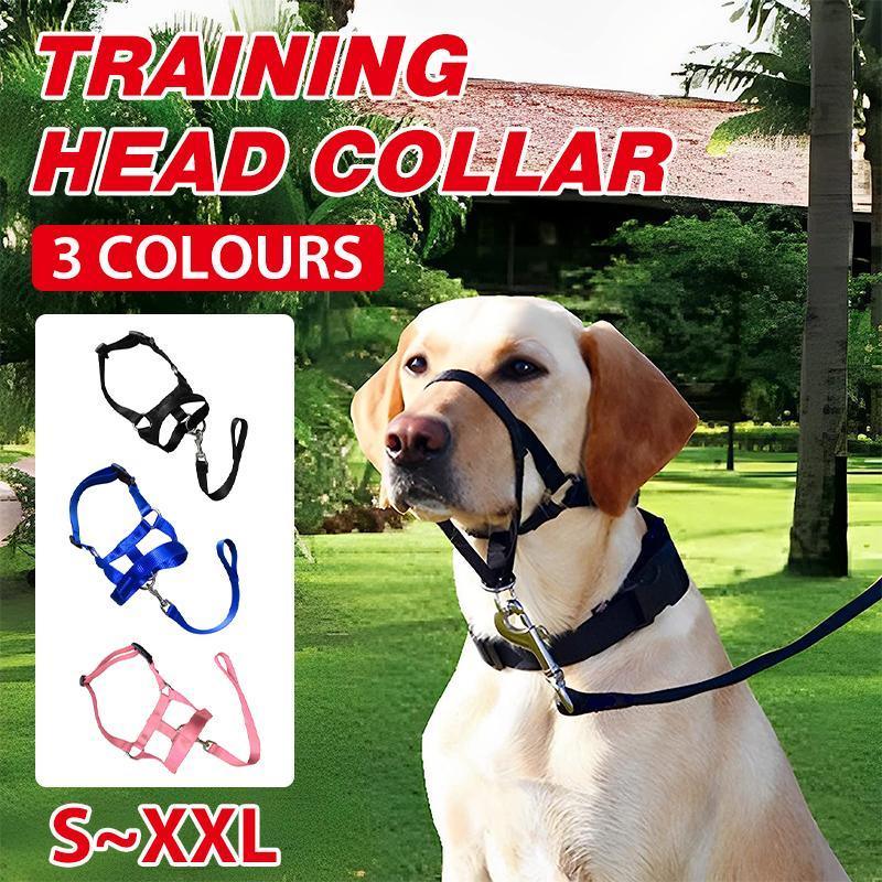 V528-MH00512-PINK-XL-862324-202509301636-00 Pink Dog Training Head Collar Halter Stop Pulling Training Tool Harness Strap Leader - XL - Image 1