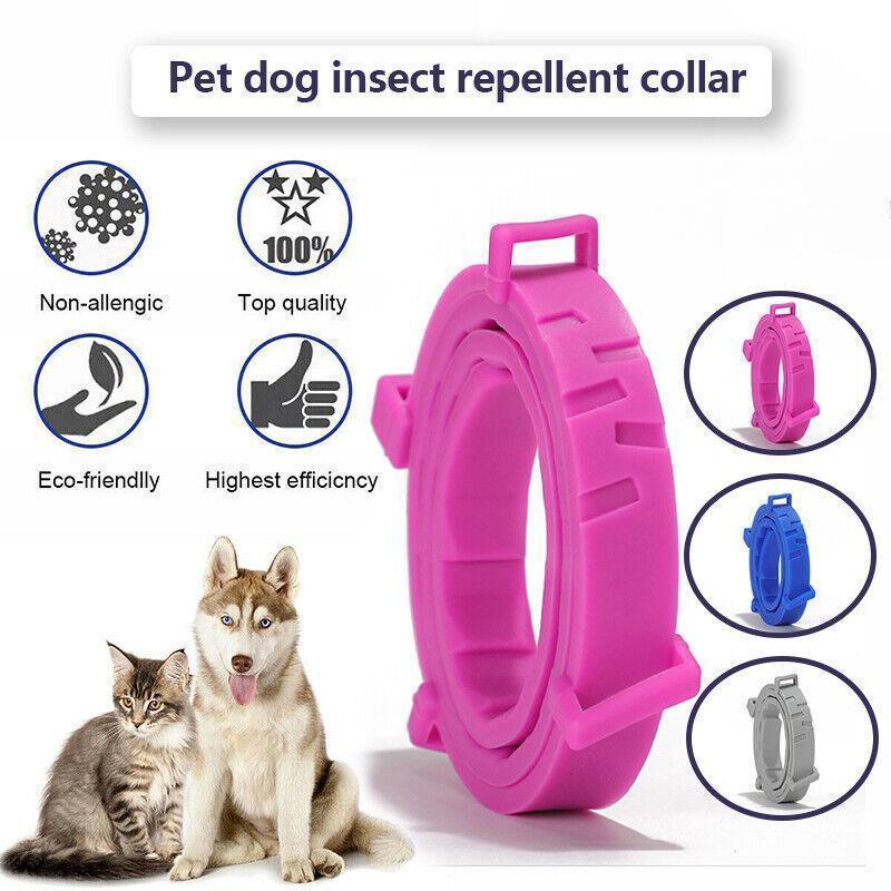 V528-PETCOLLAR-GREY-LONG-321457-202509301327-00 Adjustable Flea and Tick Collar for Dogs and Cats with Natural Repellent - Grey - Image 1