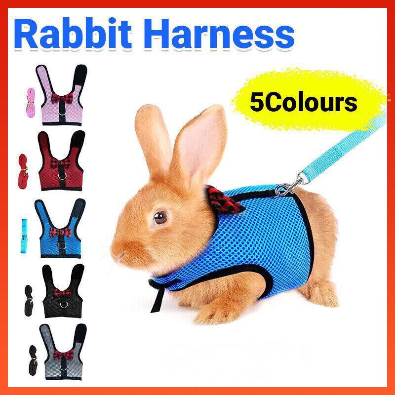 Rabbit Vest Harness Leash Lead Small Animal Pet Mesh Hamster Bunny Traction Rope S - Red