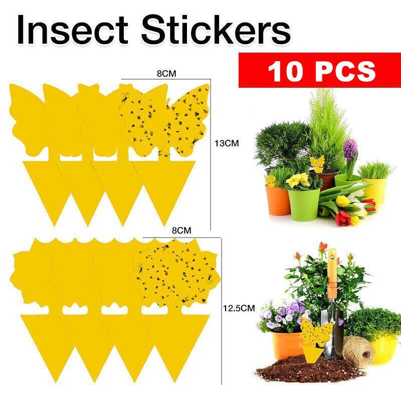 V528-STICKYTRAP-BUTTERFLY-30PCS-662705-202510010200-00 10X Dual Sided Sticky Trap Insect Killer Whitefly Thrip Fruit Fly Gnat - Butterfly 30PCS - Image 1