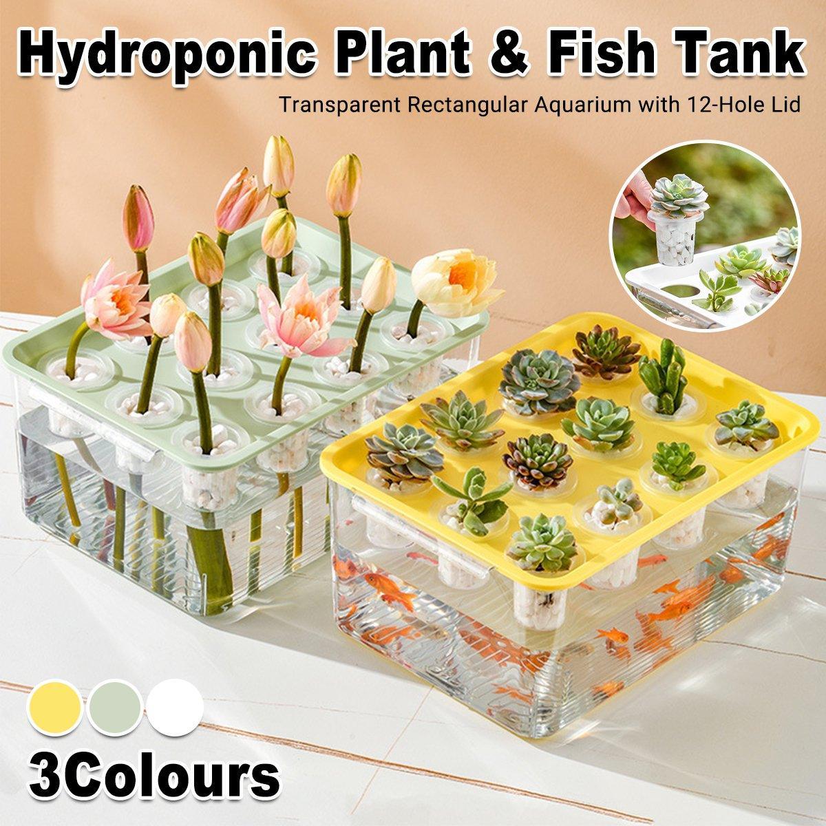 V528-WATER-PLANTING-BOX-GREEN-327770-202510010909-00 Transparent Rectangular Aquarium 12Hole Lid Portable Hydroponic Plant Fish Tank - Green - Image 1