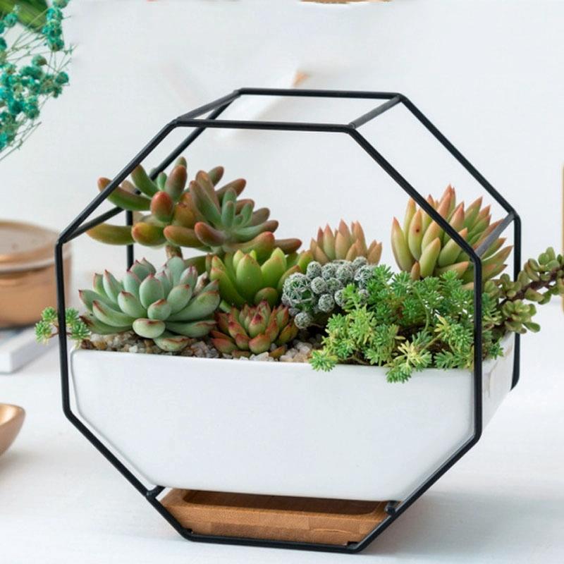 V562-B1015801040DBT-202508281110-00 Geometric Wall Hanging Table with Bamboo Support and Iron Frame for Succulents - Black - Image 1