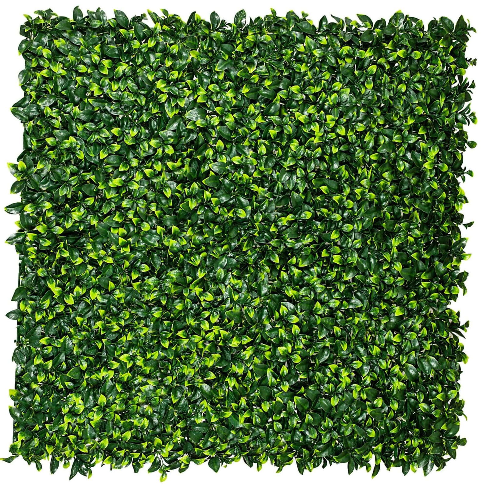 V637-1004628-202508251320-00 Jasmine Hedge Screen Green Wall Panel UV Resistant 100cm x 100cm - Image 1