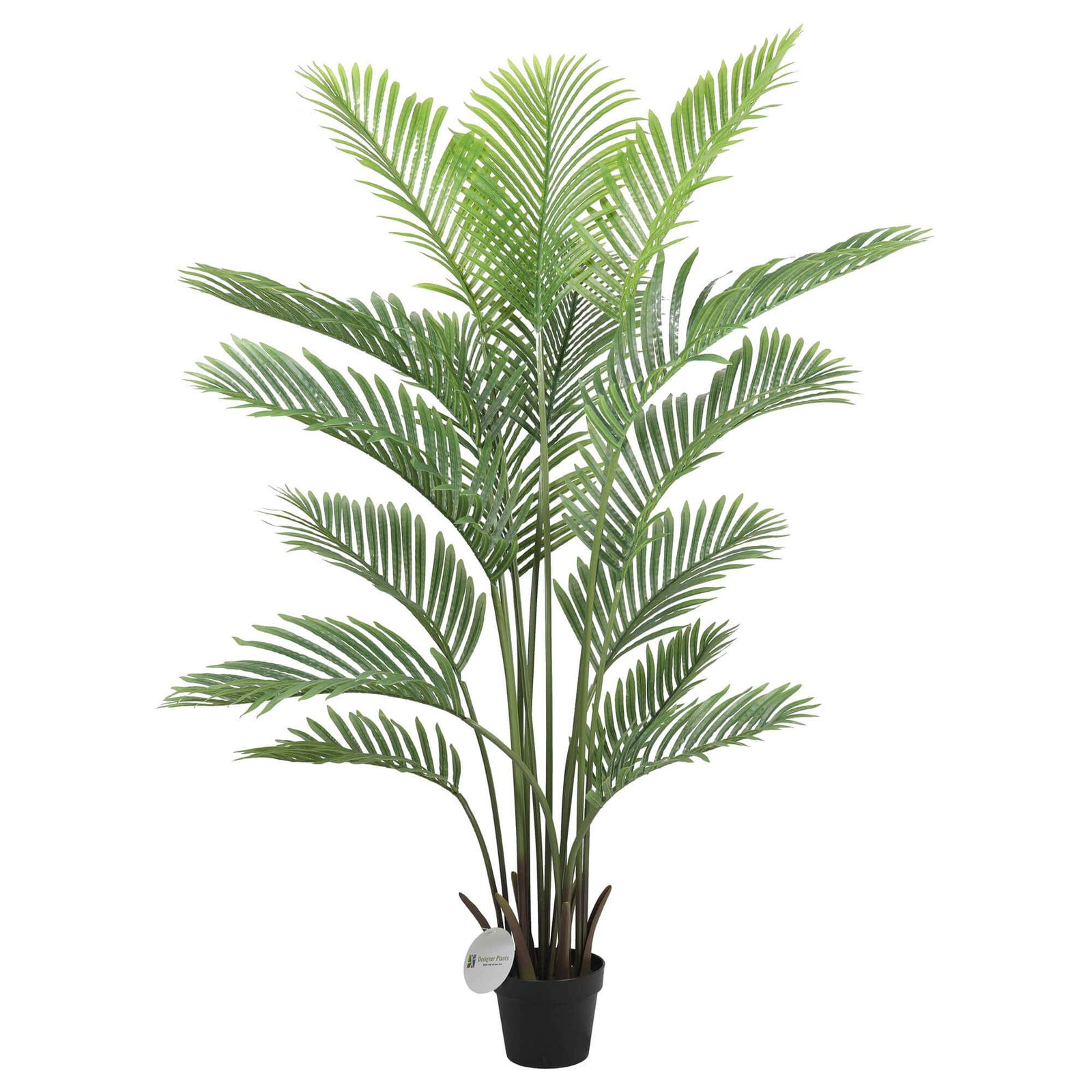 V637-1016107N-202508251440-00 Premium Artificial Areca Palm Tree Real Touch 160cm - Image 1