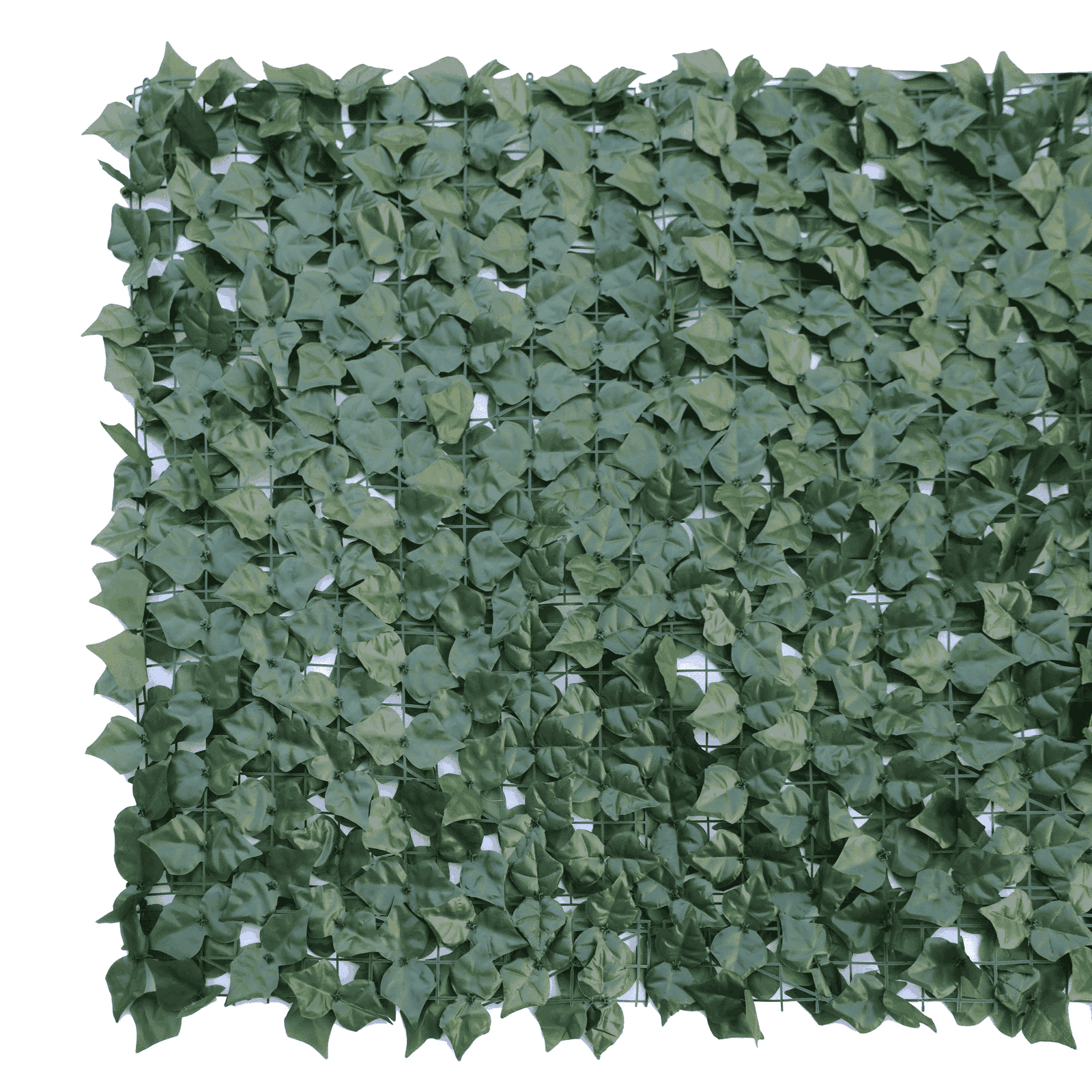 V637-1016477-202508251350-00 Double Sided Ivy Rolls 3m X 1m - Image 1