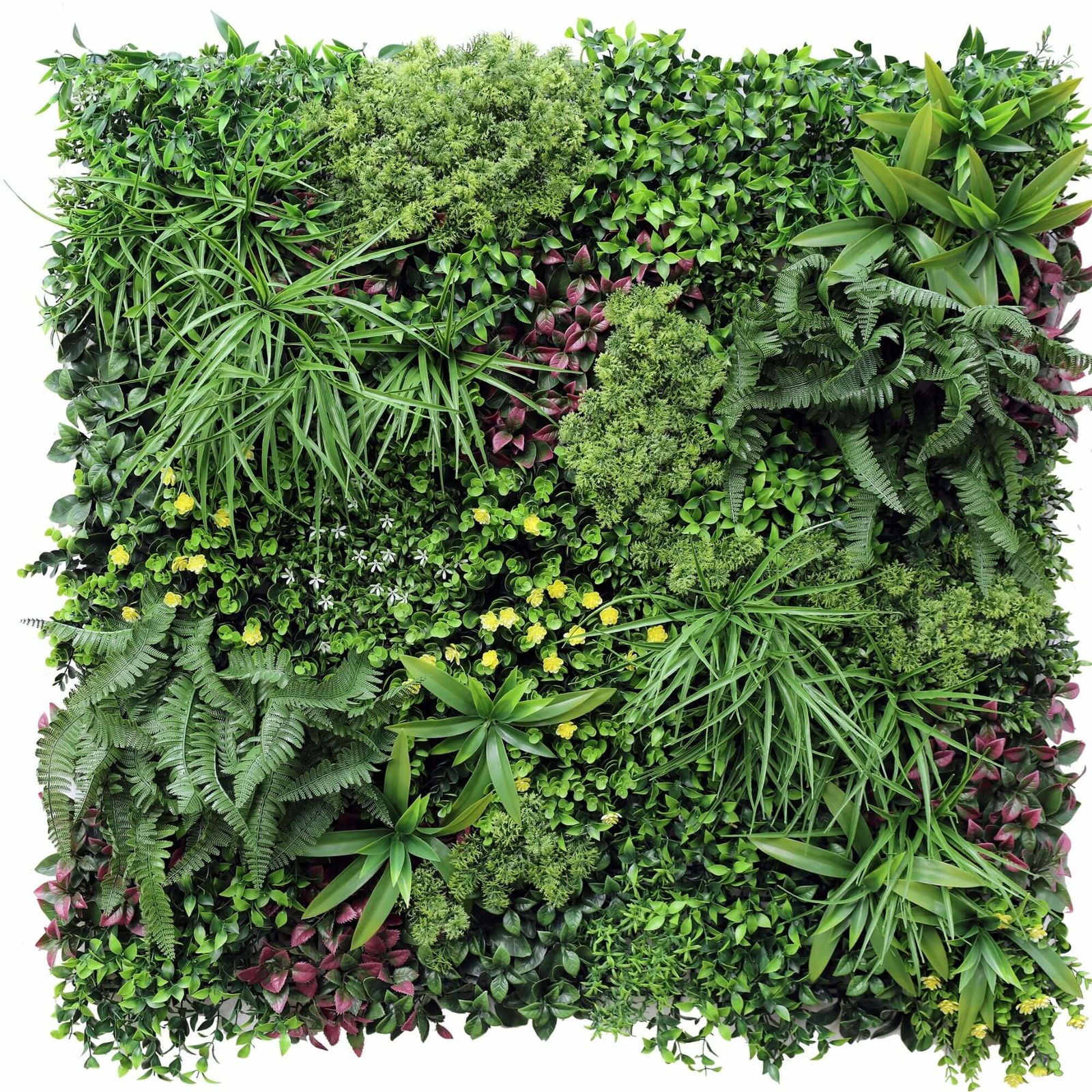 V637-1097773-1-S-202508251440-00 Luxury Country Fern Recycled Vertical Garden / Green Wall UV Resistant Sample - Image 1