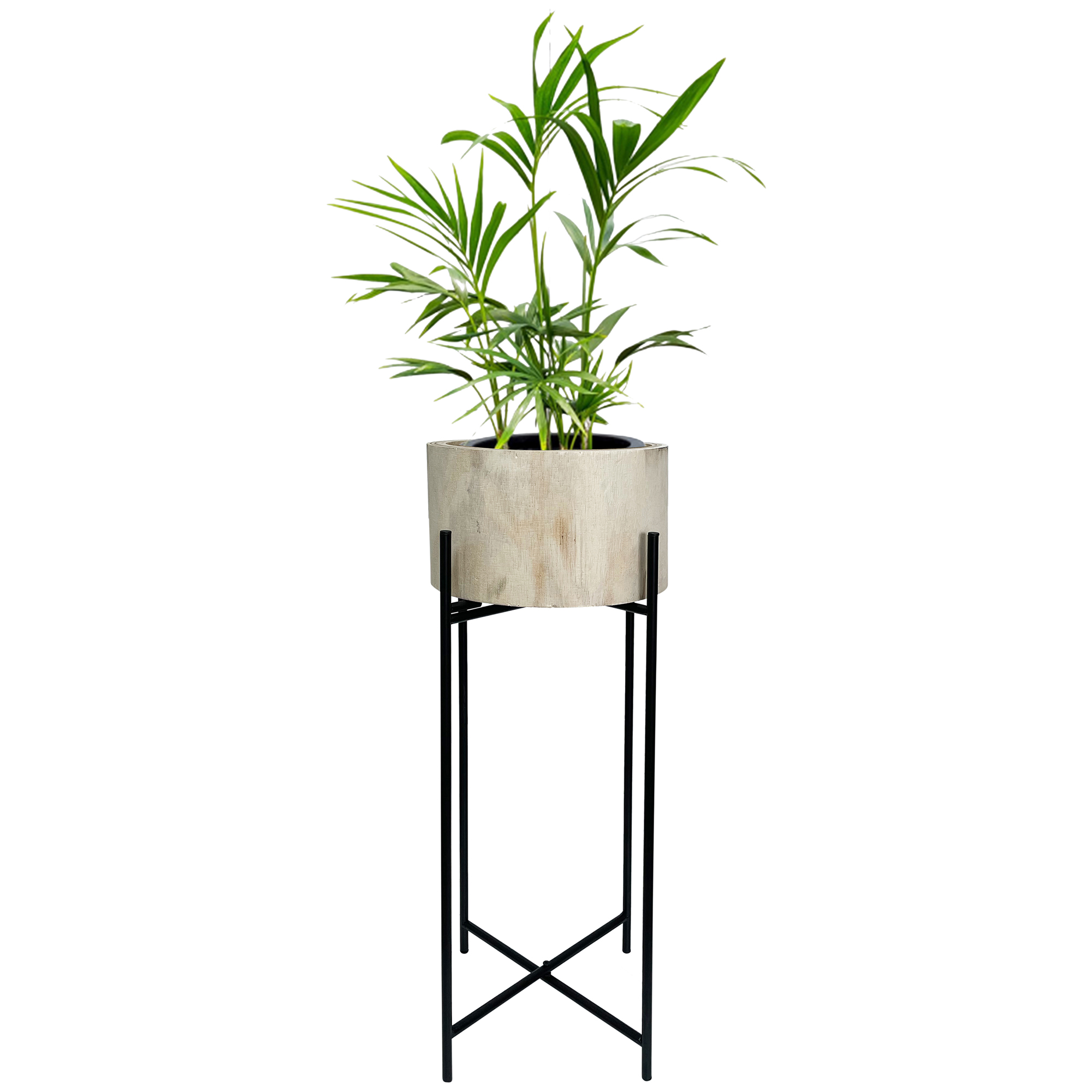 OLYMPUS DIGITAL CAMERA Natural Wood Potplanter on Cross Legged Stand 66cm - Image 1