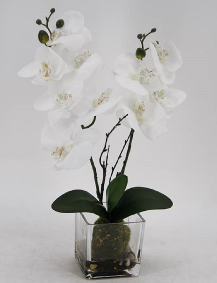 V637-AFL23226-202508251935-00 Artificial Orchid in Glass Pot 10x45cm - Image 1