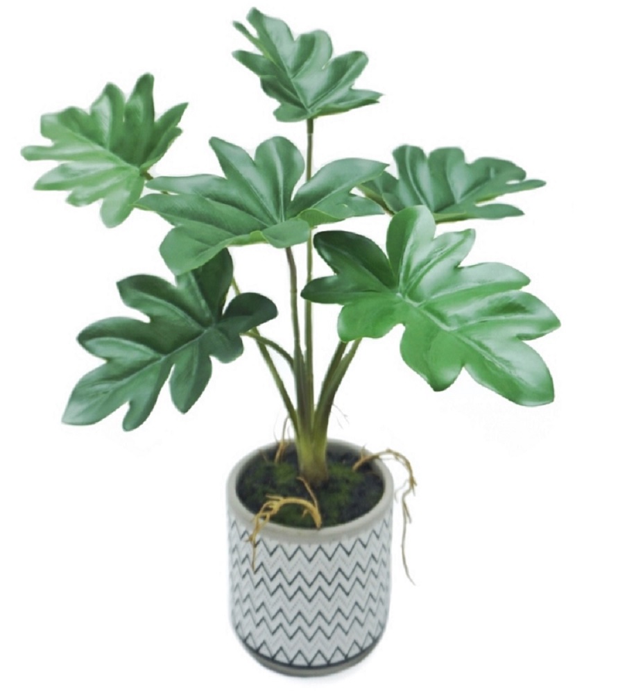 V637-AFL30467P-202508251545-00 Artificial Philodendron In Ceramic Pot 7x31cm - Image 1