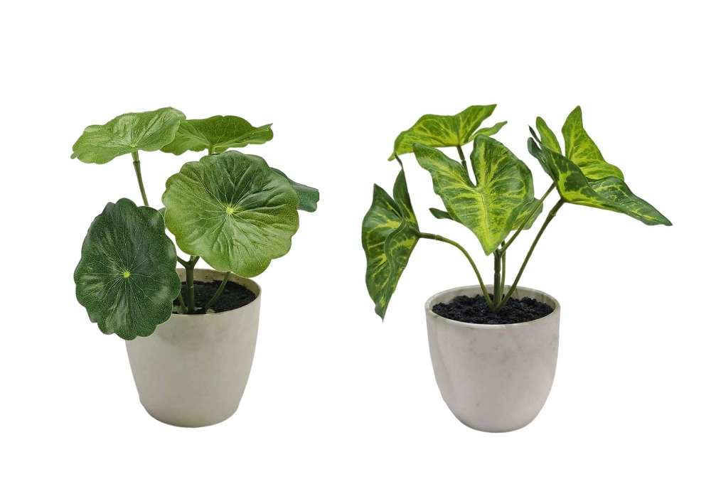 V637-AFL30967-202508251555-00 Set 2 Artificial Taro & Lotus Plant In Plastic Pot 7x15cm - Image 1