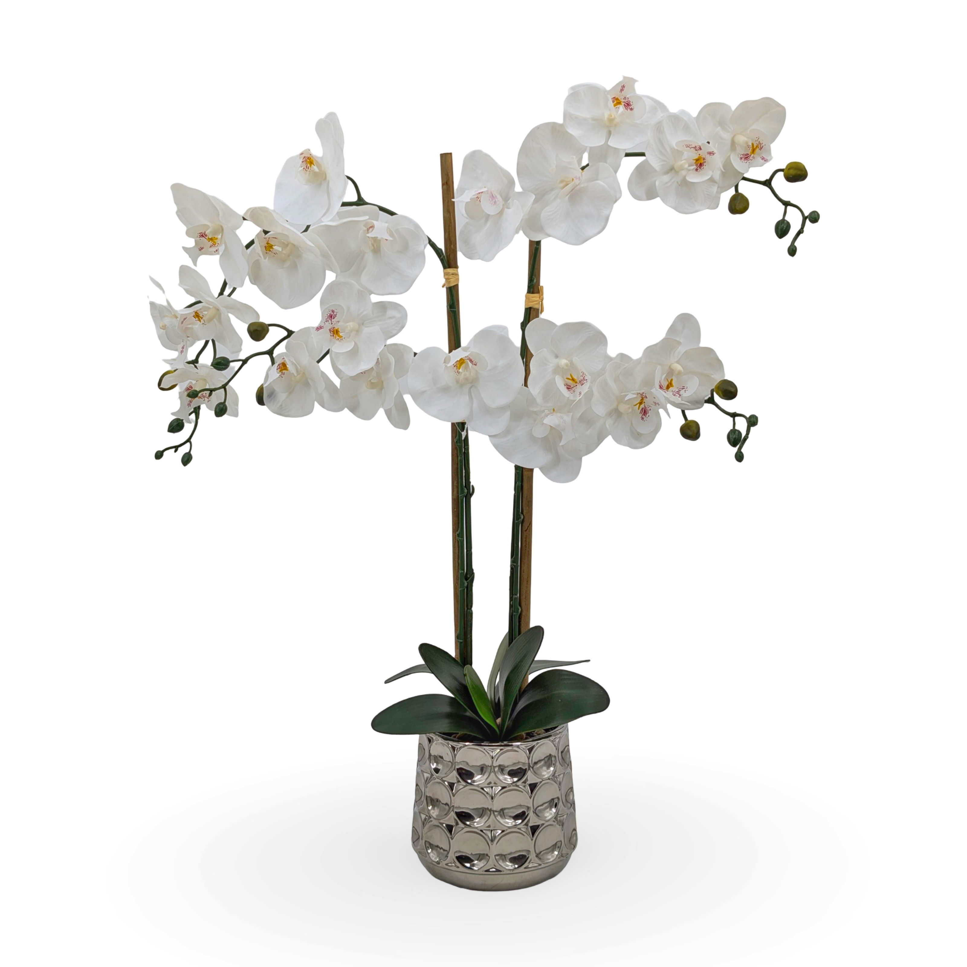 V637-AFL36462-202508251720-00 Artificial Orchids in Chrome Pot 71cm - Image 1