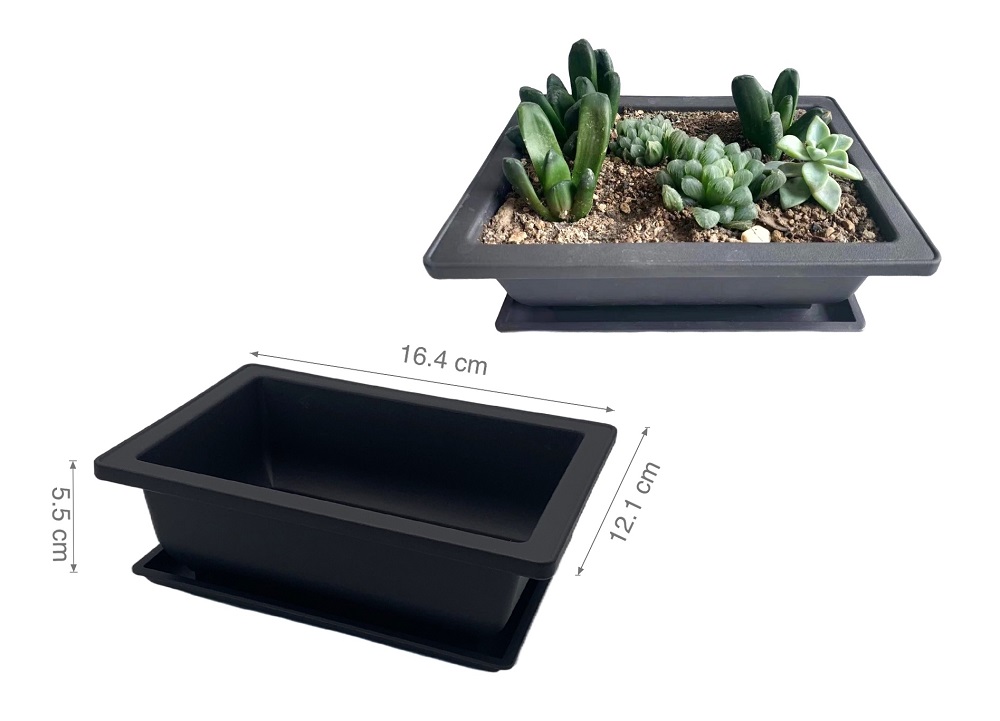 V637-GRT31809-202508252045-00 bulk 24 Bonsai Succulent Planter w Tray 16cm - Image 1